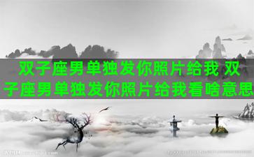 双子座男单独发你照片给我 双子座男单独发你照片给我看啥意思